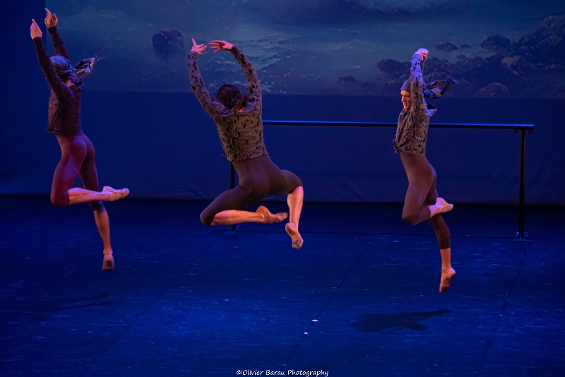 ballet romantique (30)